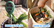 10 Gardening Tips Para Hindi Malanta At Dumilaw Ang Halaman Mo